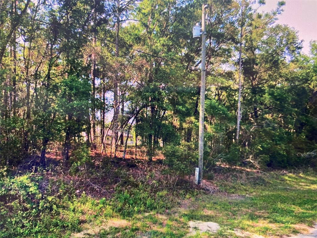 Citrus Spgs Unit 04 - Land