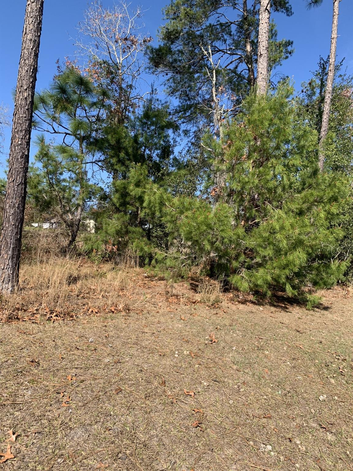 Lake Diamond North - Residential