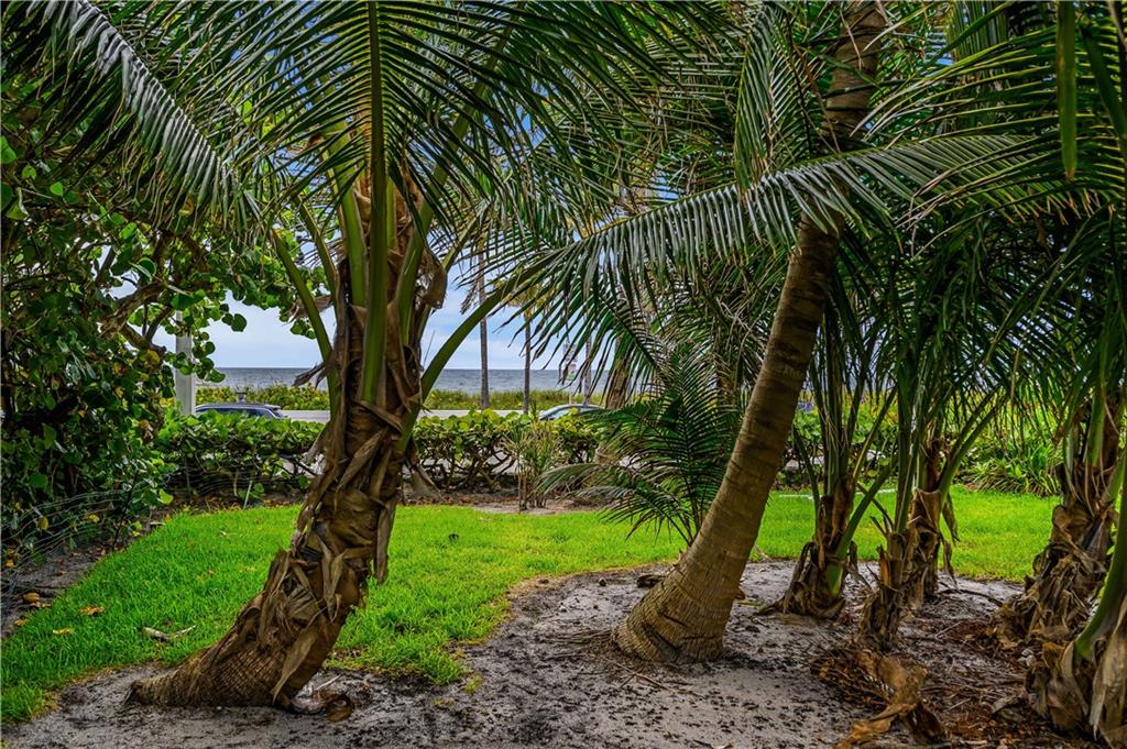 FORT LAUDERDALE BEACH - Residential