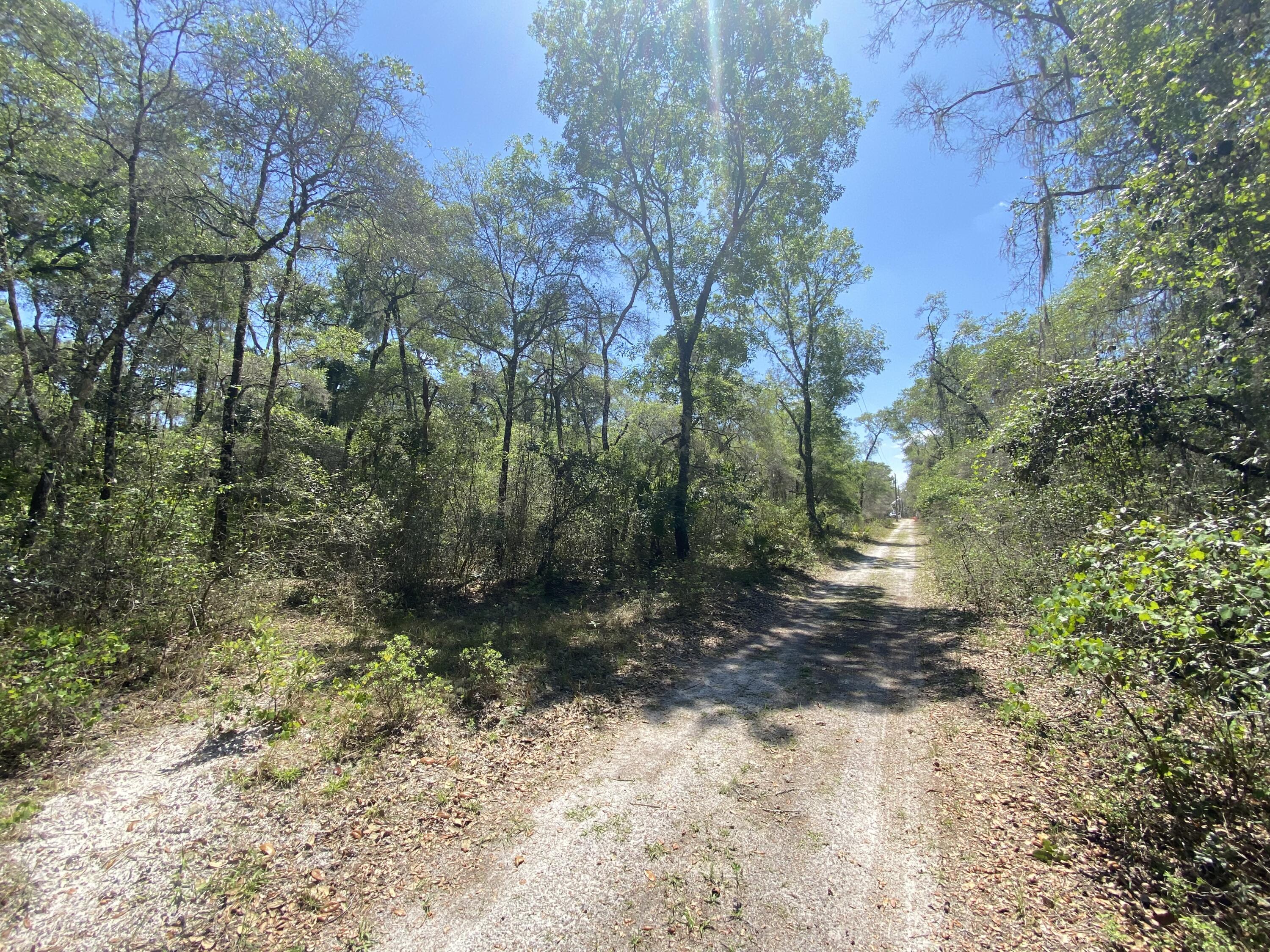 Gorgeous 1-acre CORNER wooded lot in the country of Colony Estates in the Withlacoochee River Basin. Near Flying Eagle State Conservation Park. Community is built amongst the native trees and preserves the natural aspect of the neighborhood. Ready to build or invest and hold. Inverness is still a quaint small town with charm and plenty of activities such as boating, fishing, hiking, biking along our 46-mile bike trail, farmer's market, festivals and shows throughout the year, Minutes from shopping, hospital, schools, banks, parks and boat ramps: everything you'll need but far enough out in the country for seclusion! Enjoy Tsala Apopka Lake system and Flying Eagle Preserve as well, all in your neighborhood! Plus, so much more! Owner Financing available