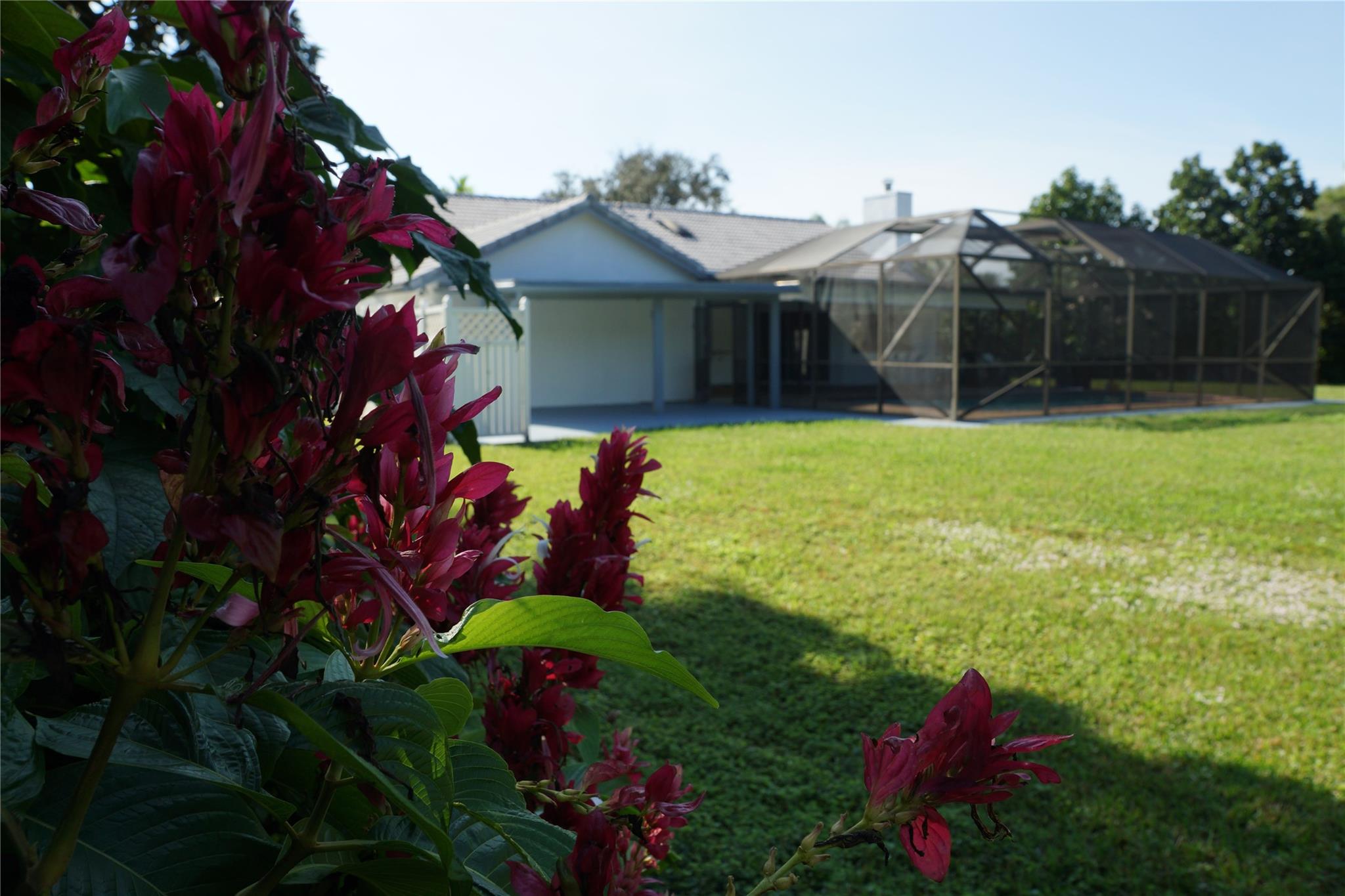 JACARANDA LAKES - Residential