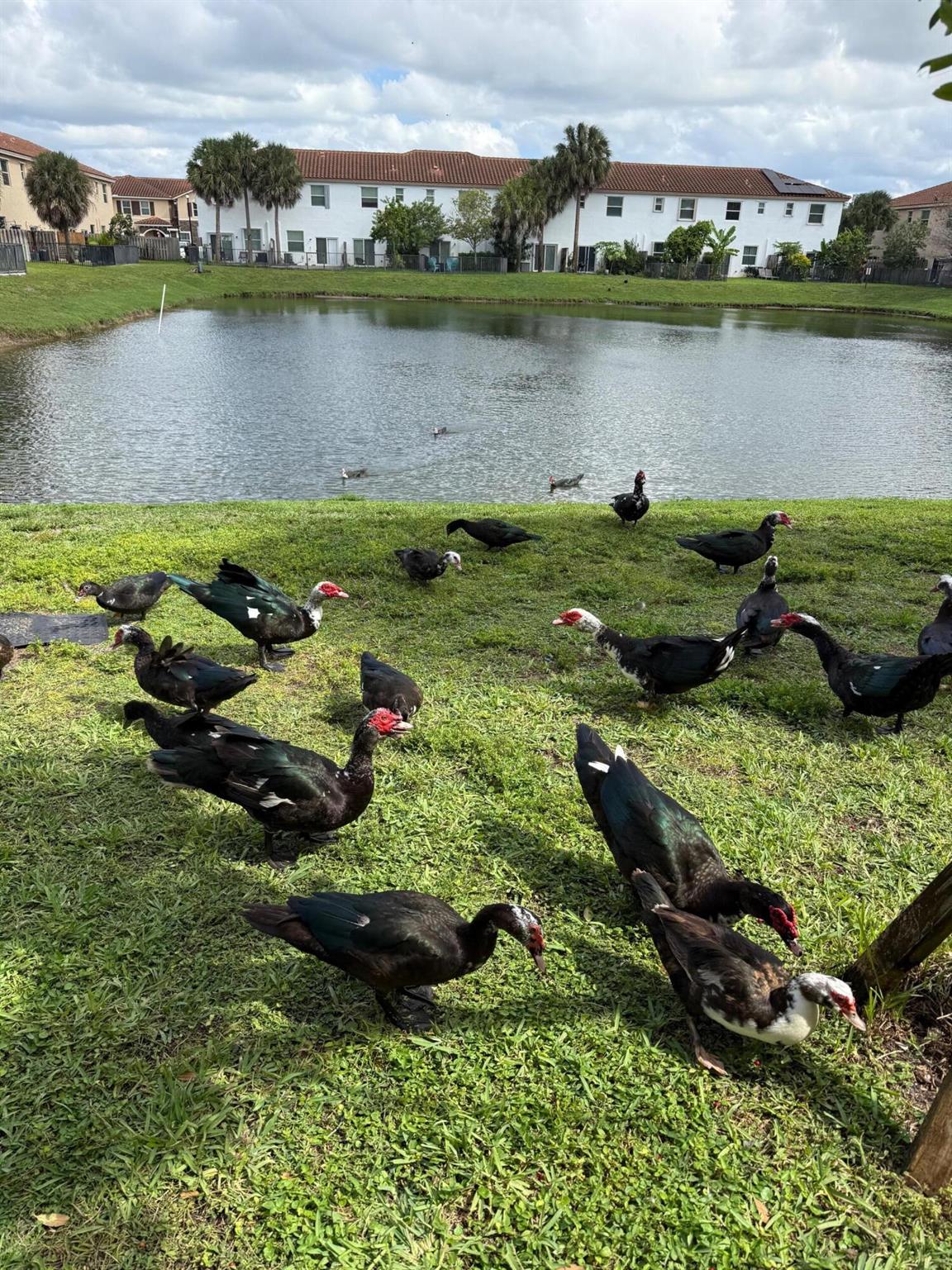 Charleston Commons II - Residential Lease