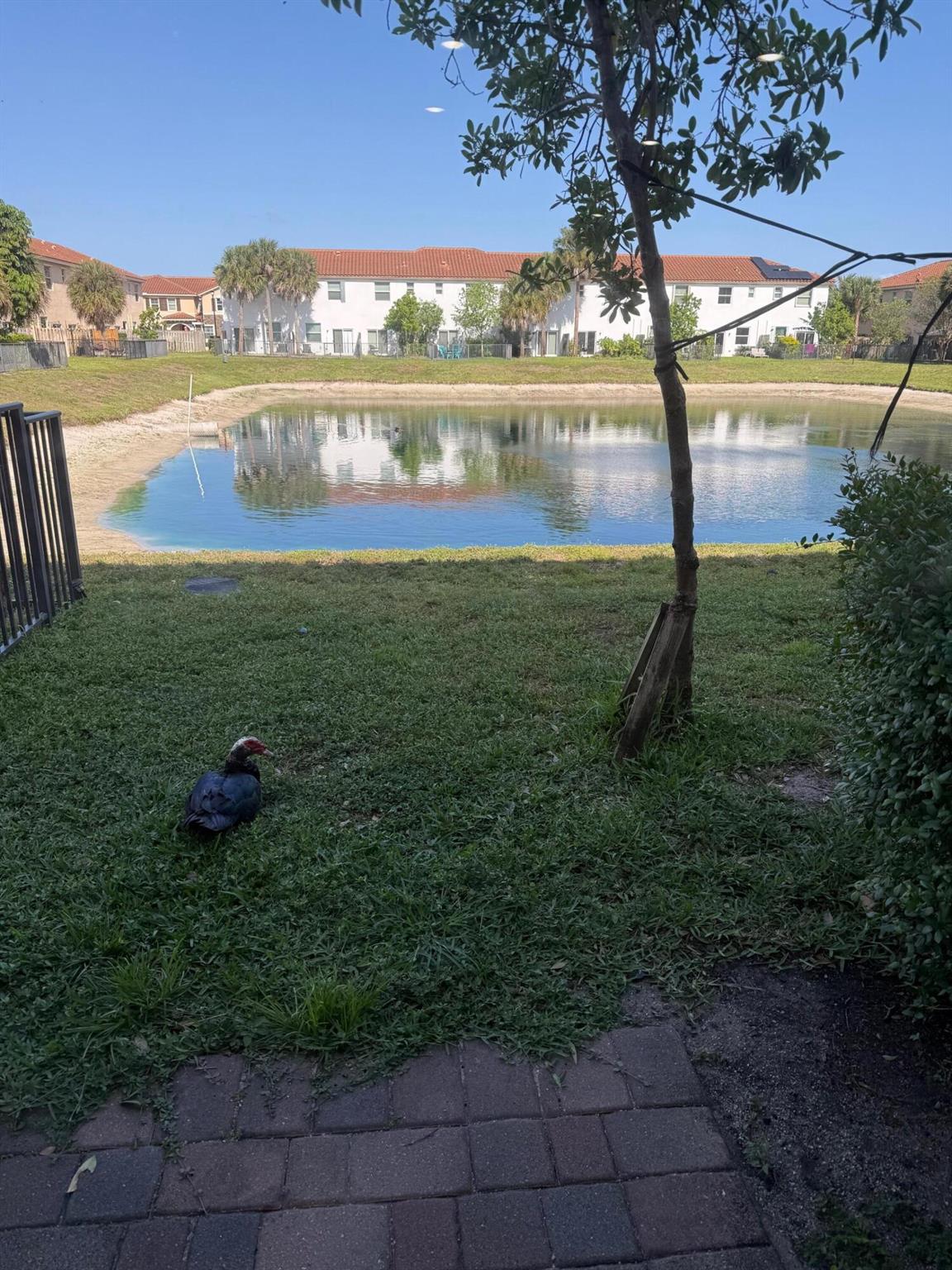 Charleston Commons II - Residential Lease