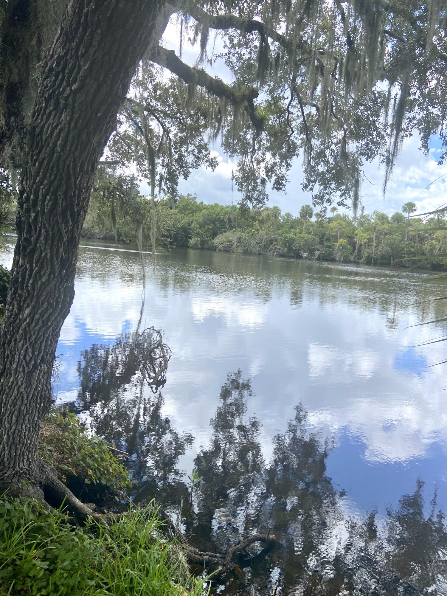 Spanish Lakes Riverfront - Residential