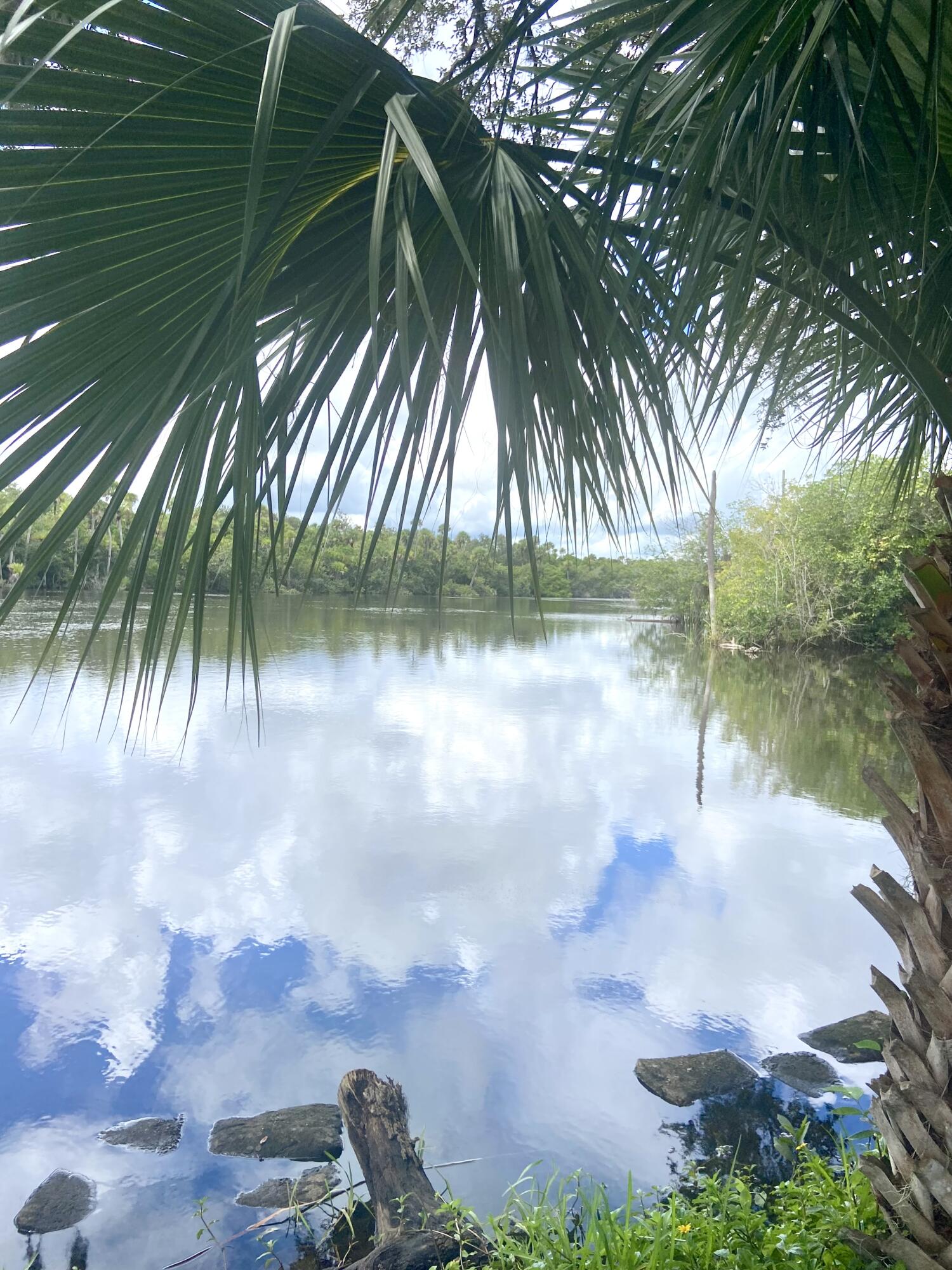 Spanish Lakes Riverfront - Residential