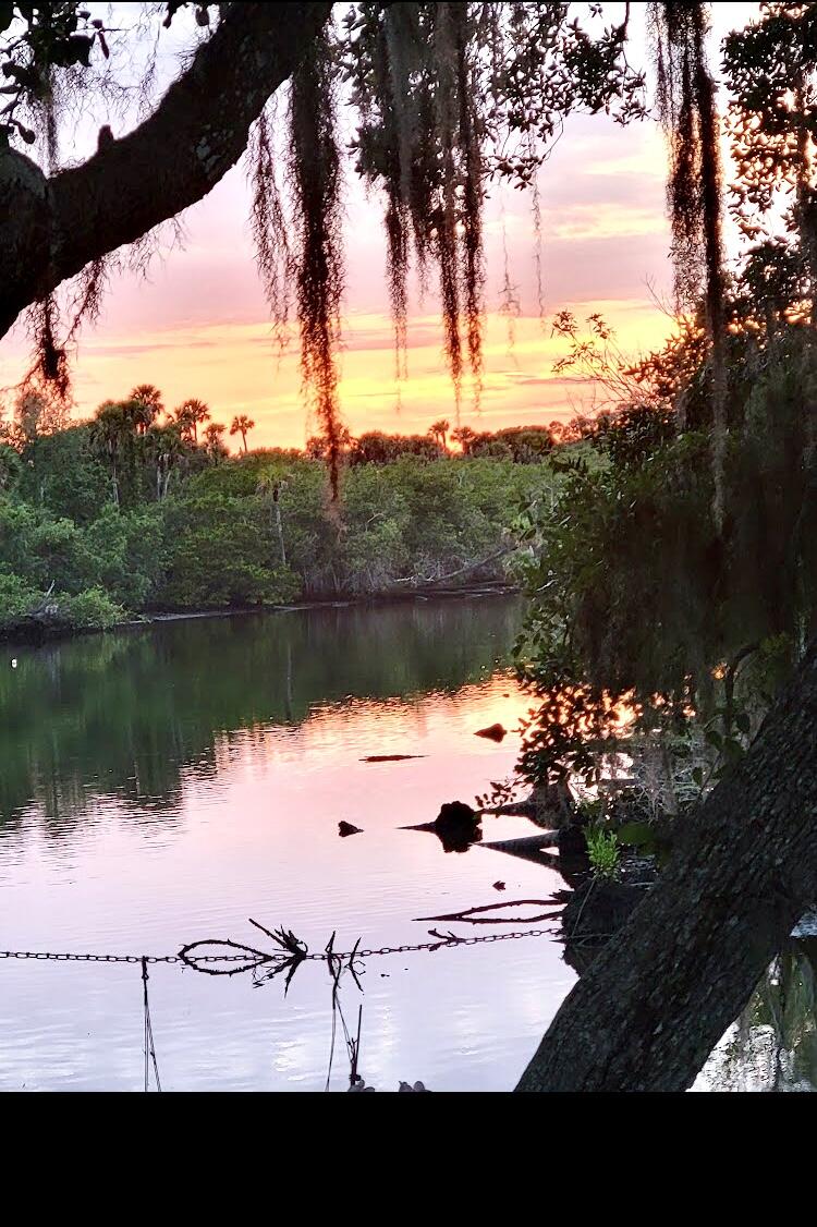Spanish Lakes Riverfront - Residential