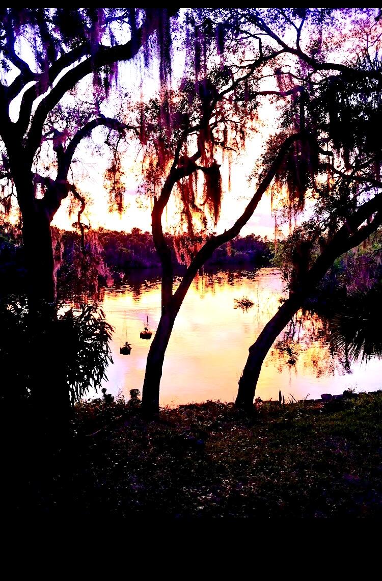 Spanish Lakes Riverfront - Residential