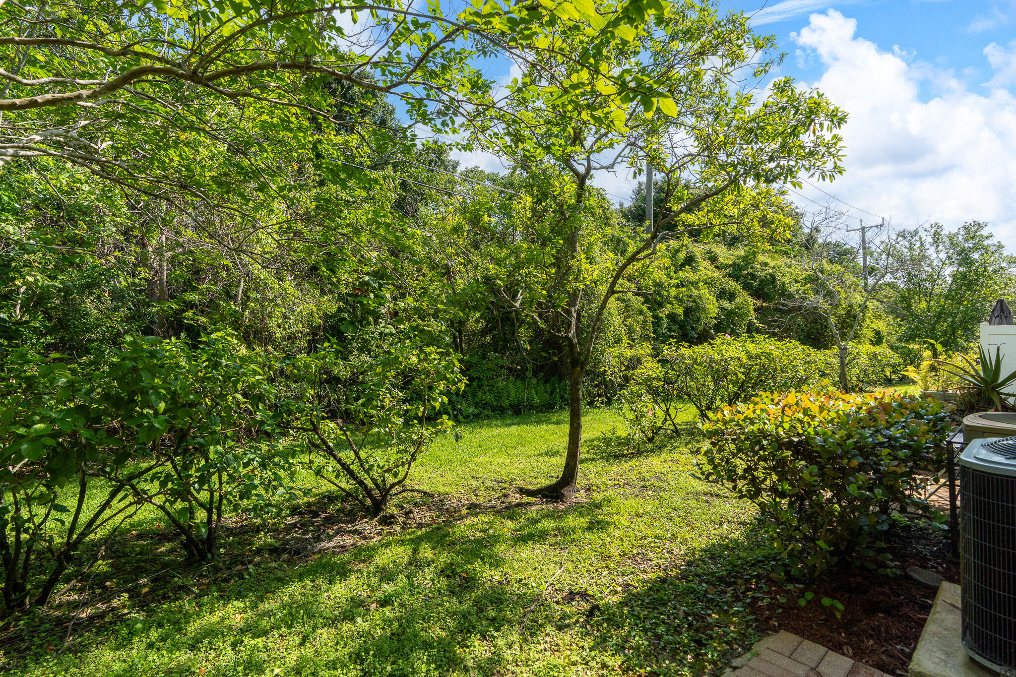 The Oaks at Oaklnd Forest - Residential