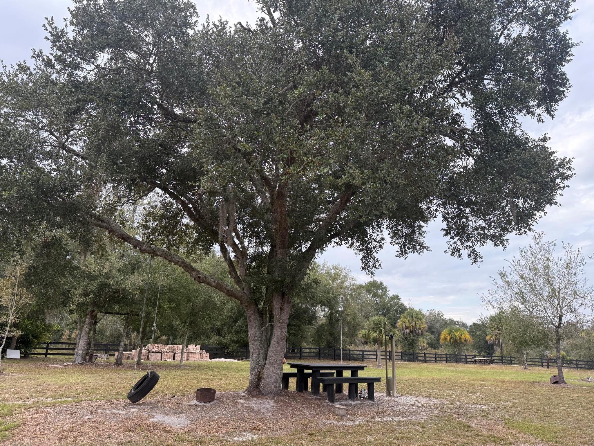 SOUTHERN COLONIZATION COM - Land