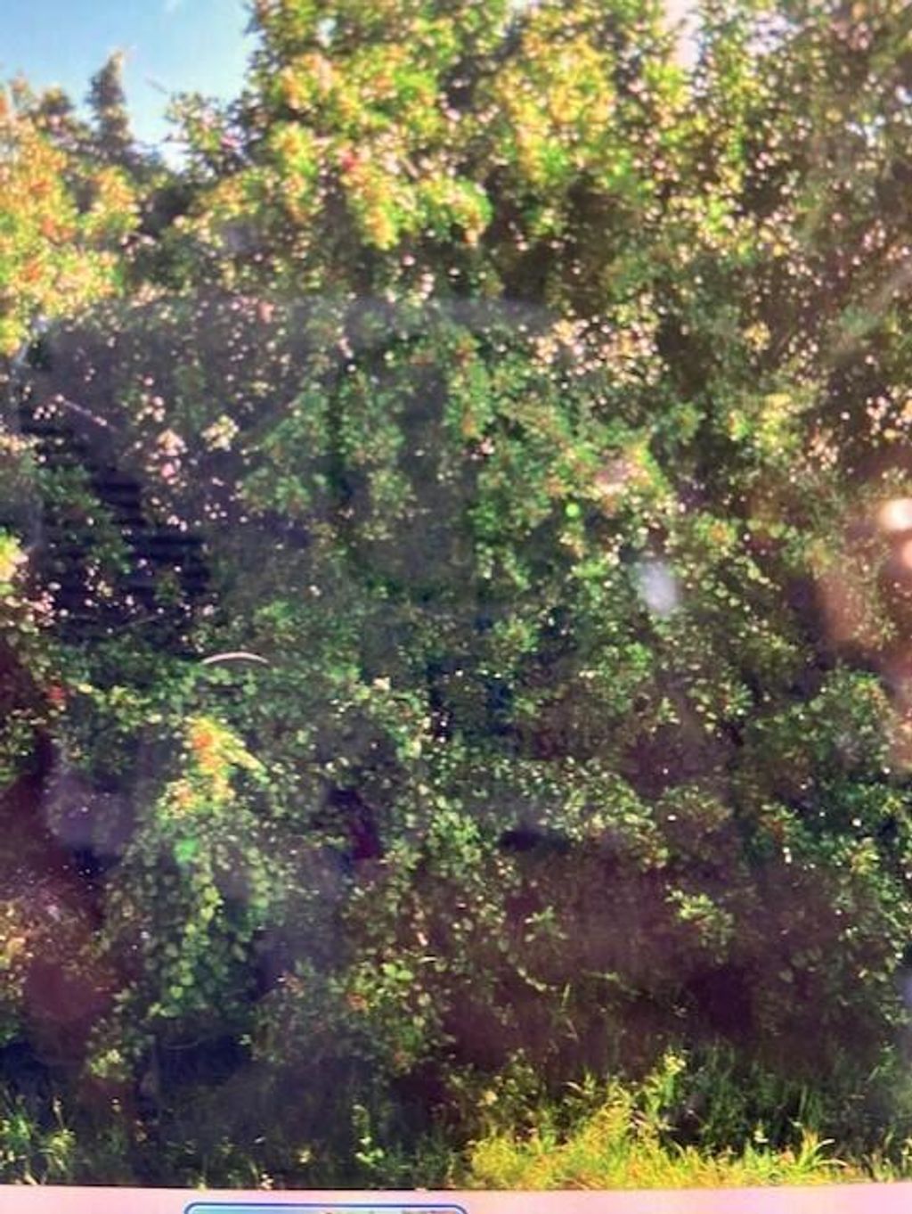 Photo of 1386 SW Hebner Avenue, Port Saint Lucie, FL 34953 (MLS # R10864107)