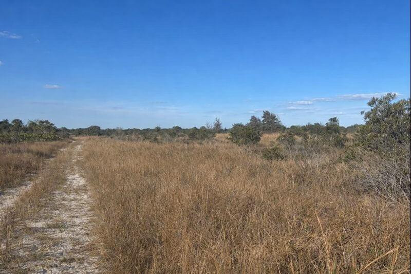 VK433 The Viking Estates - Land