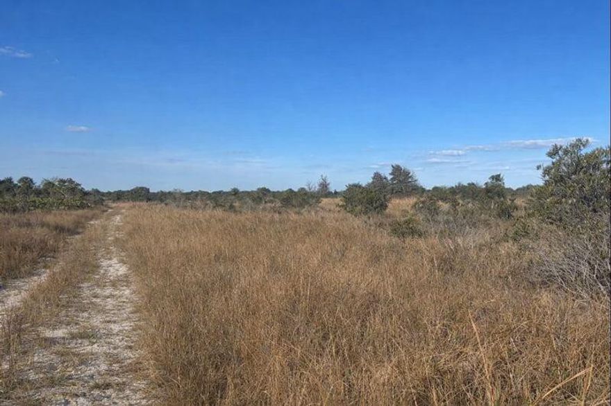 5 acres in Viking Estates. Adjacent land also available. Take advantage of our owner financing to start your farm!