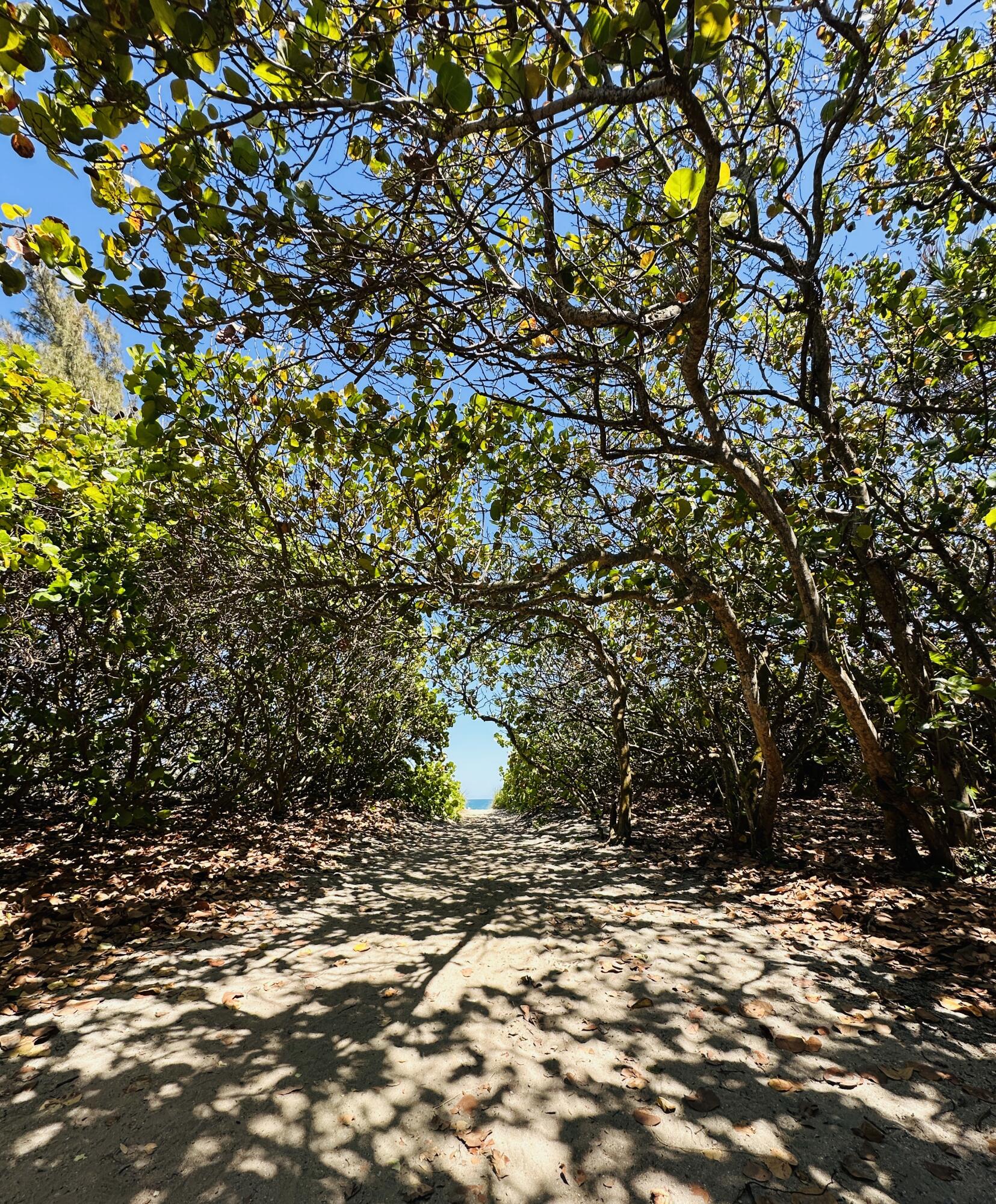 ISLANDIA II CONDOMINIUM - Residential