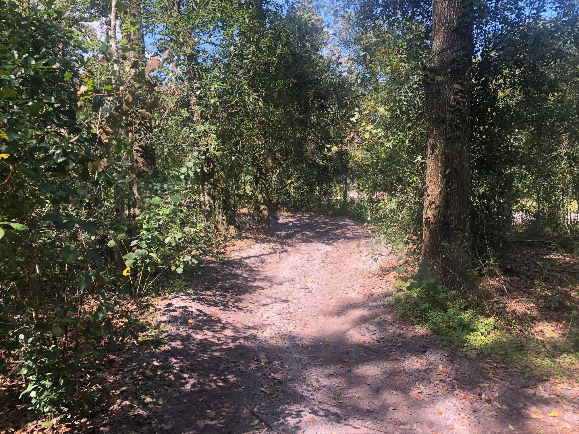 Rancho Bonito - Land