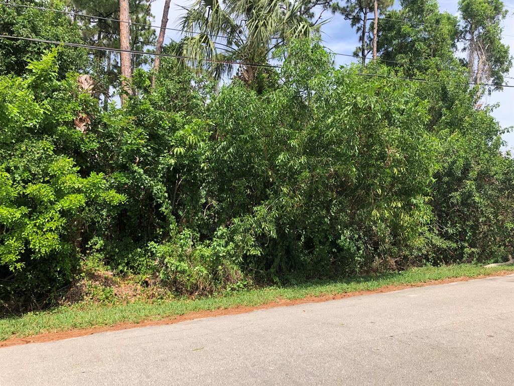 Looking to building your dream home in a wonderful area this lot is for you. Close to everything but out of the congestion of the city.
