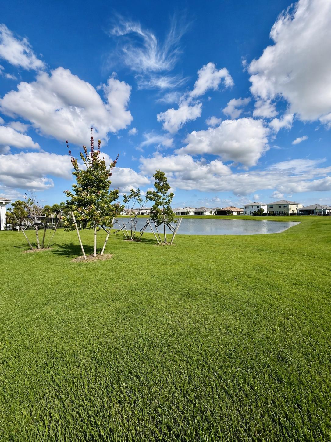 PINES OF WESTLAKE - Residential