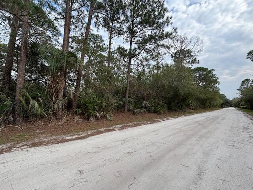 2 side by side lots for sale in Vero Lake Estates.  For sale separately or buy 2 lots for your future dream home.  No HOA, close to beaches, shopping, restaurants and I-95.  Build your custom home in this fast growing residential community.