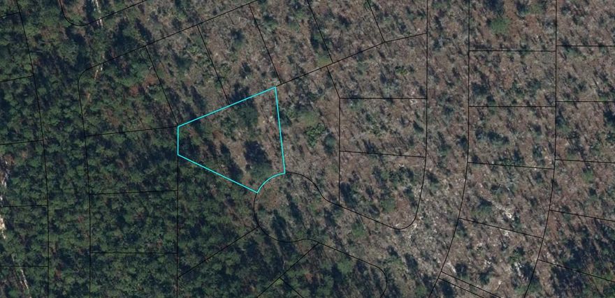 Vacant residential built lot located south of the city center of Chipley, Florida in the Sunny Hills Subdivision. The golf course is located less than 1/2 mile from the subject property. Quite rural surrounding you can be a piece with nature building the home of your dreams.