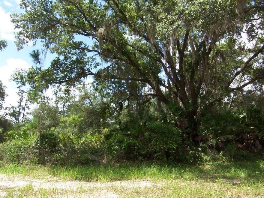 This beautiful 1/2-acre lot is on the Main Rd of this Community named Park Avenue. On Paved Road. Gated Community. Build your new home on this private high and dry 1/2-acre lot. This area is known for it's golfing, fishing, boating and considered to have one of the best bass fishing lakes in all Florida. There is a beach, boat ramp, marina, pavilion, and the longest freshwater fishing pier in the State. The pavilion has propane grills and covered picnic tables. They also have basketball, tennis courts, clubhouse, post office, churches, library, fitness room, and pro shop. there is so much to do and see like deer, raccoon, turkey, turtles, cranes, and various species of birds centrally located approximatly only 1 hour from either Orlando or Tampa.