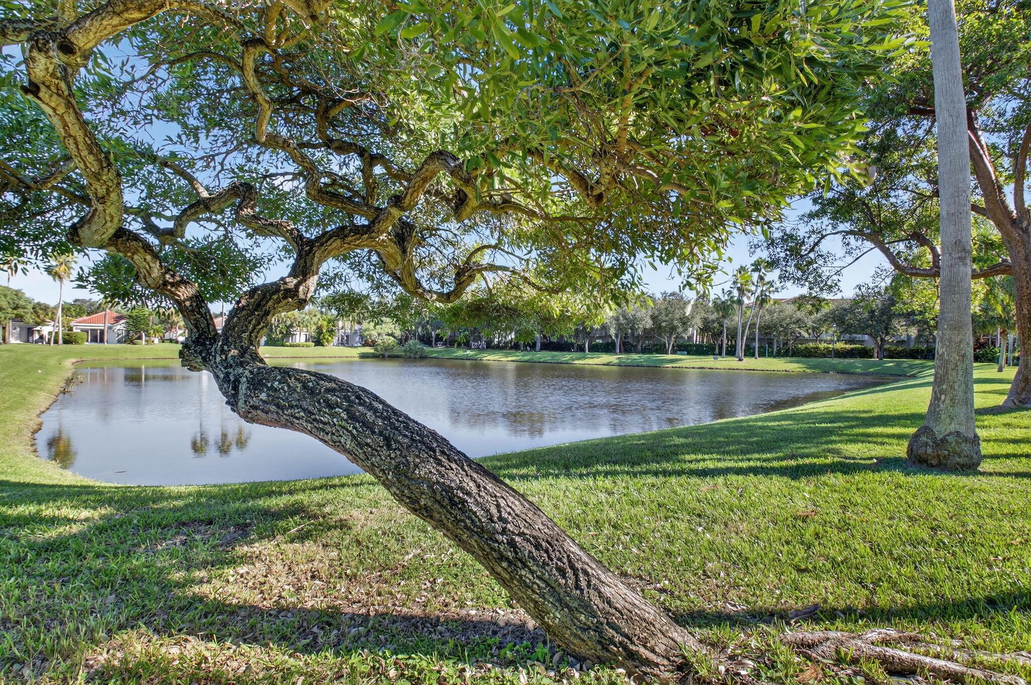 HAMMOCK RESERVE - Residential
