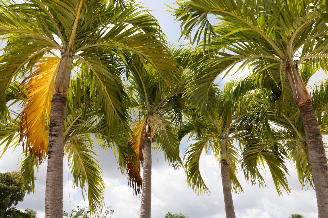 Oriole Gardens - Residential