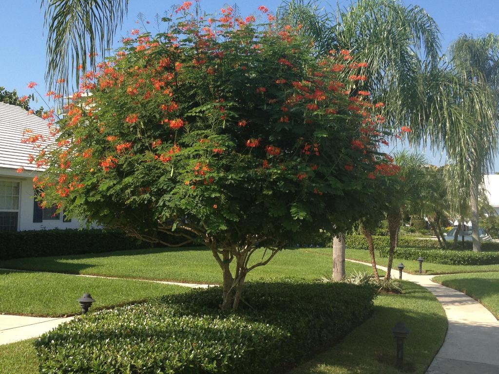 REIDS JOHN B VILLAGE - Residential