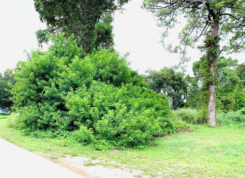 Beautiful lot in a quiet neighborhood.