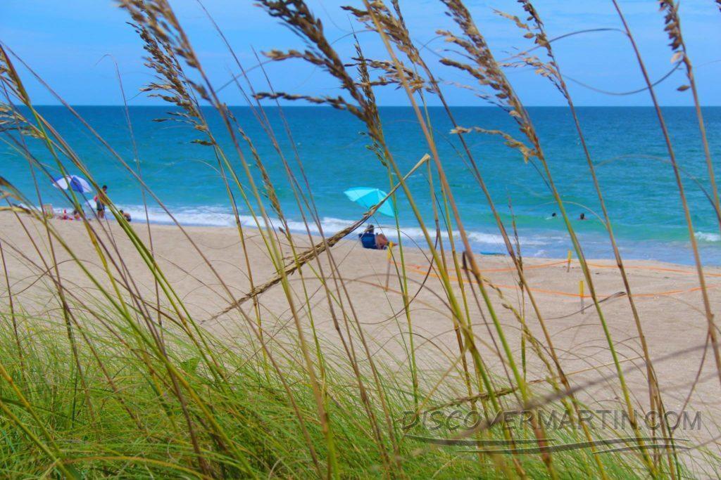 OCEAN TERRACE CONDO - Residential