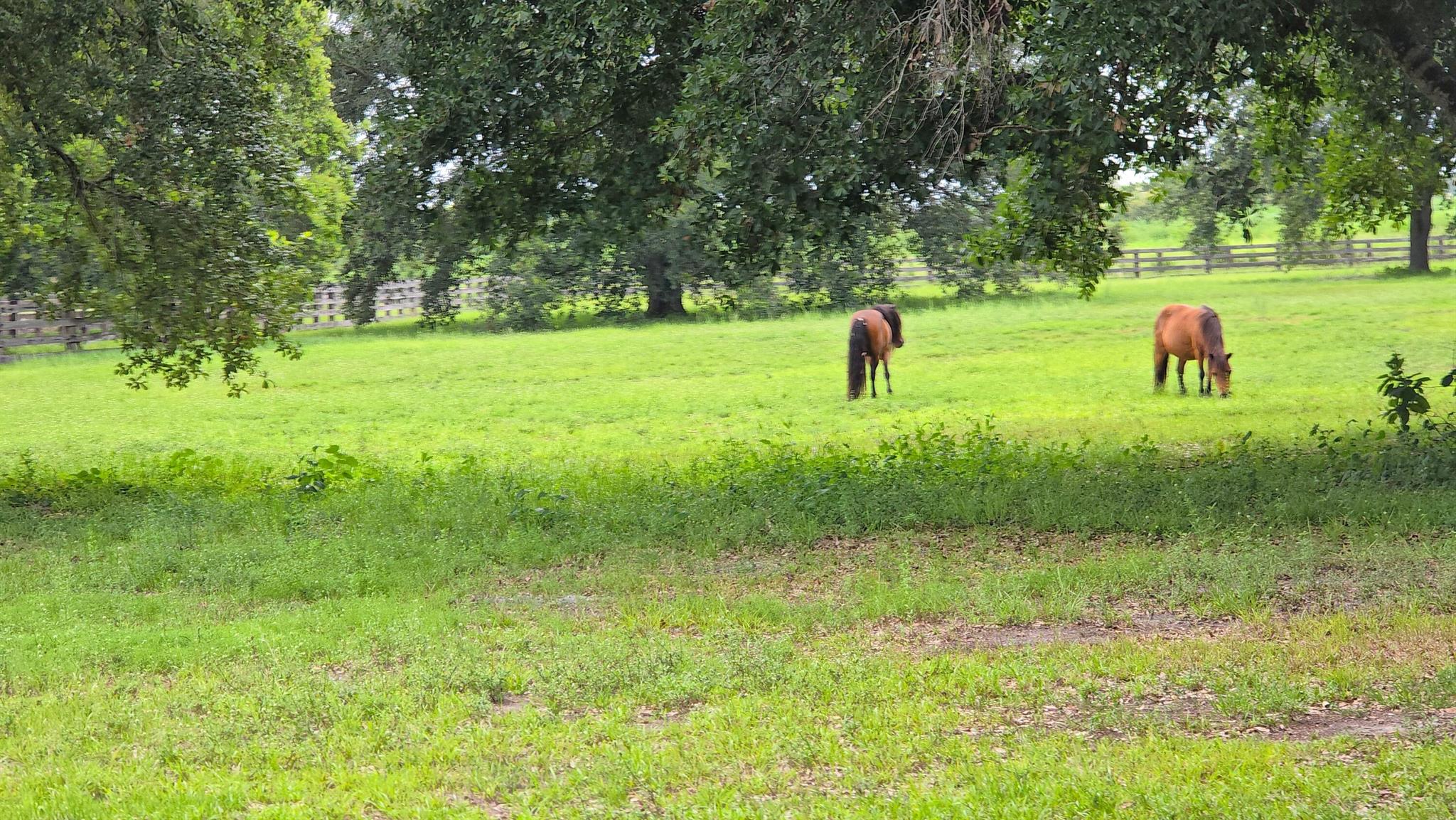 CONNERS GABLES - Land