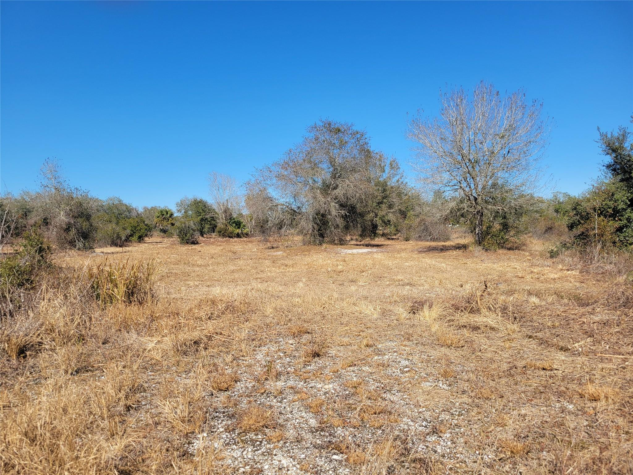 Southern Colonization - Land