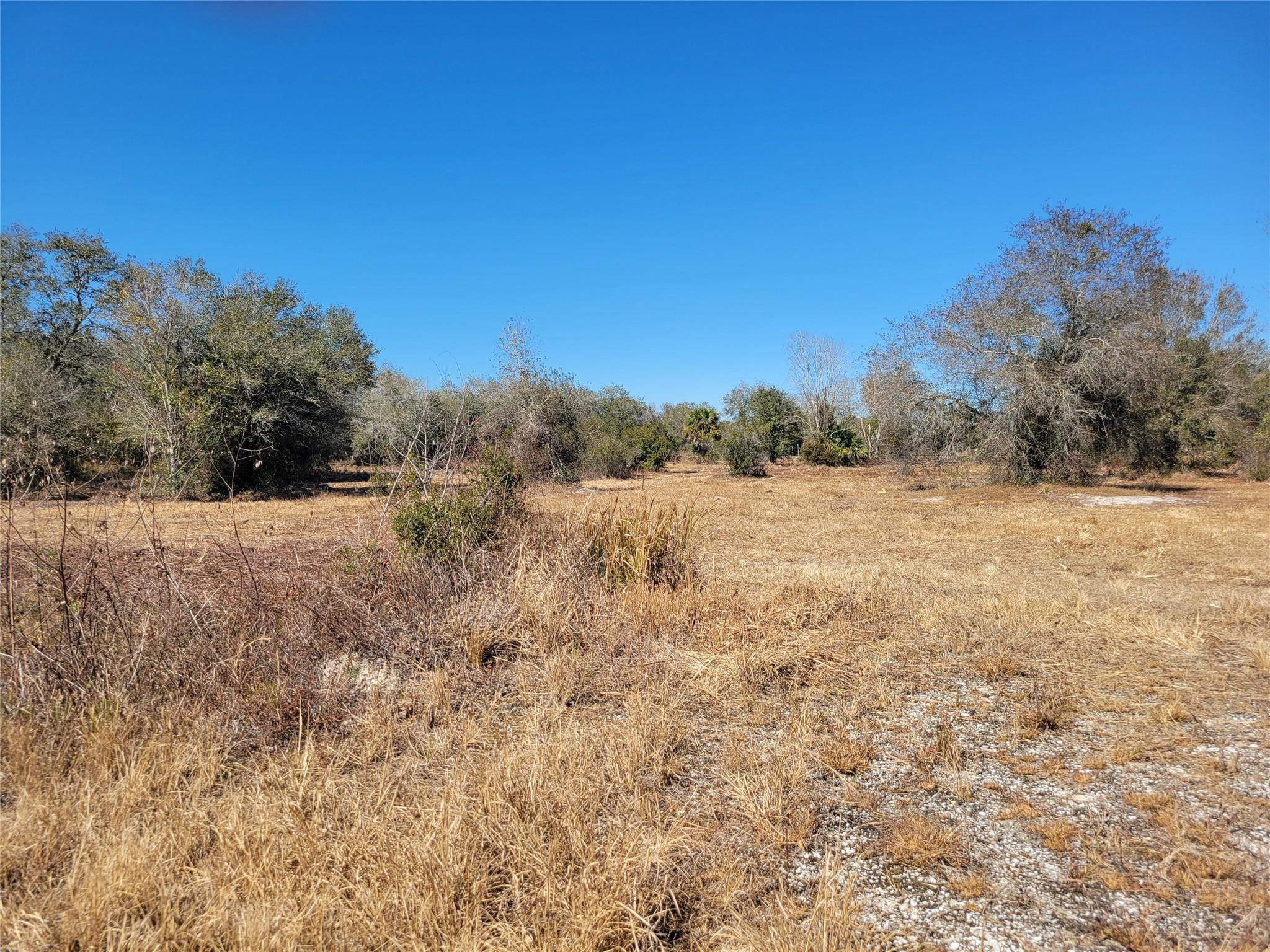 Southern Colonization - Land