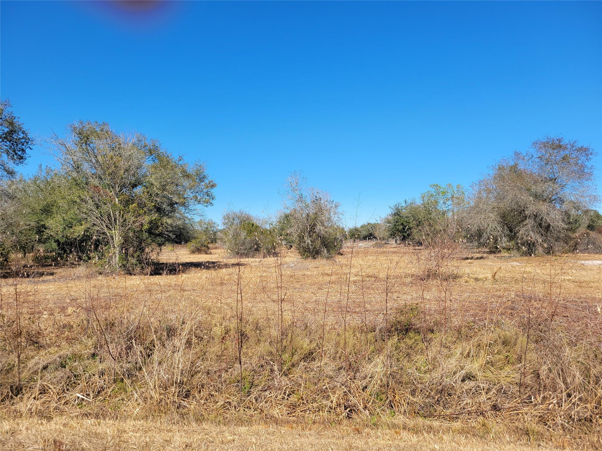 Southern Colonization - Land