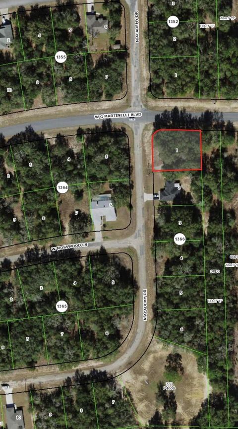 11064 N Academy Drive Citrus Springs FL 34434