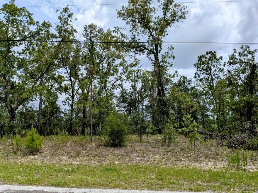 Located in the heart of Citrus Springs, this residential lot measures 80 x 125 feet. Enjoy the peace of a residential neighborhood with no HOA, paved road access, and nearby utilities. This high and dry lot offers a prime location just minutes from Black Diamond Ranch Golf Club, schools, shopping, medical facilities, and outdoor attractions like the Rainbow River, Rainbow Springs State Park and the Withlacoochee State Trail. Ideal for homeowners or investors looking for a buildable parcel in a desirable area of Citrus County.