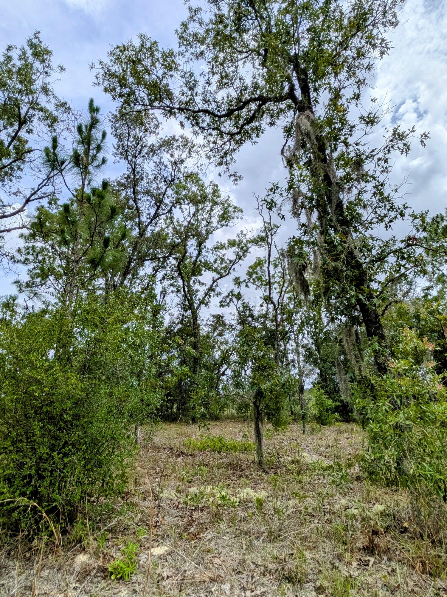 CITRUS SPRINGS UNIT 03 - Land