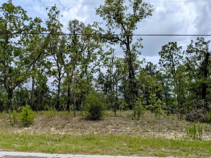 Located in the heart of Citrus Springs, this residential lot measures 80 x 125 feet. Enjoy the peace of a residential neighborhood with no HOA, paved road access, and nearby utilities. This high and dry lot offers a prime location just minutes from Black Diamond Ranch Golf Club, schools, shopping, medical facilities, and outdoor attractions like the Rainbow River, Rainbow Springs State Park and the Withlacoochee State Trail. Ideal for homeowners or investors looking for a buildable parcel in a desirable area of Citrus County.