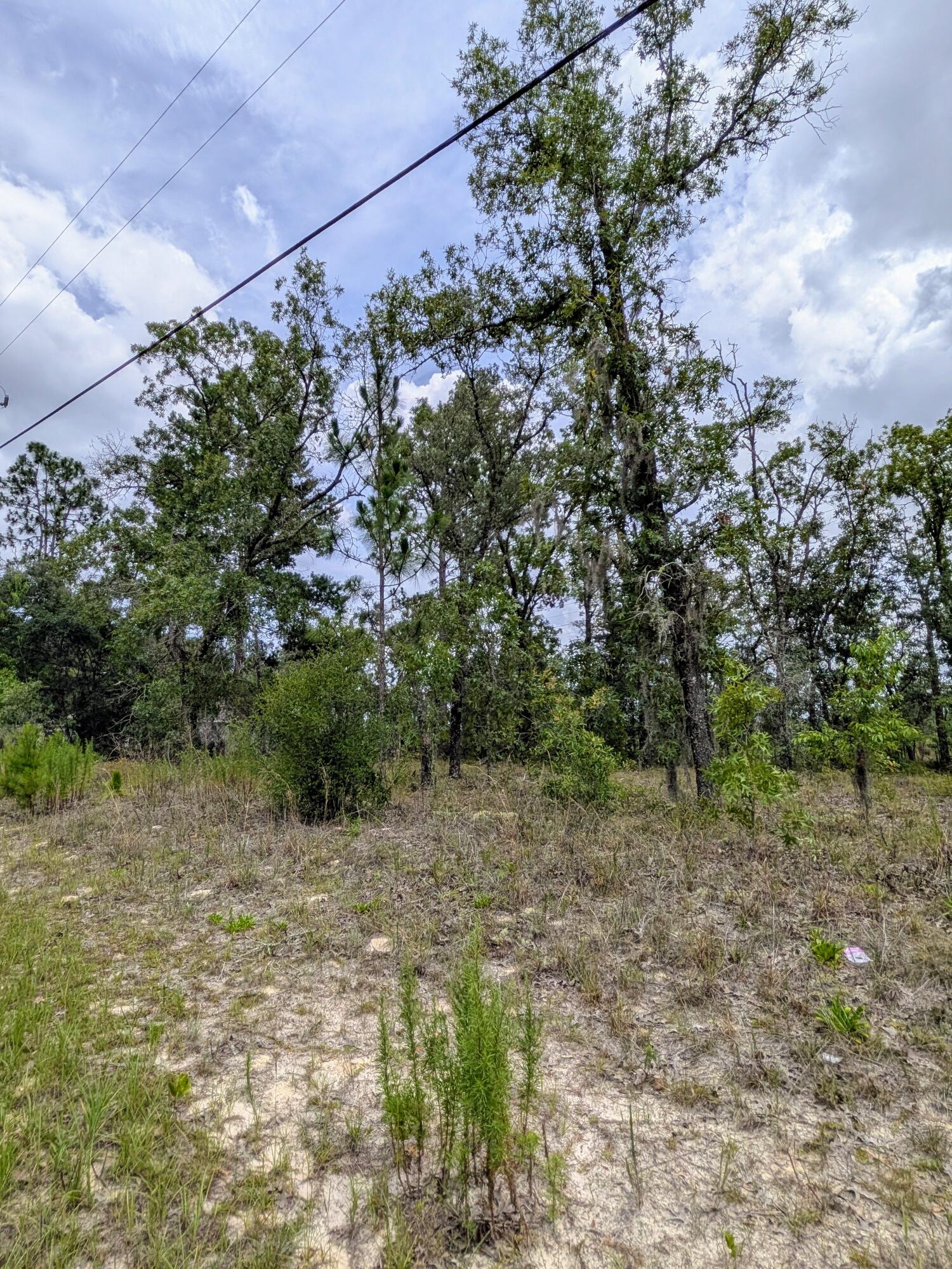 CITRUS SPRINGS UNIT 03 - Land