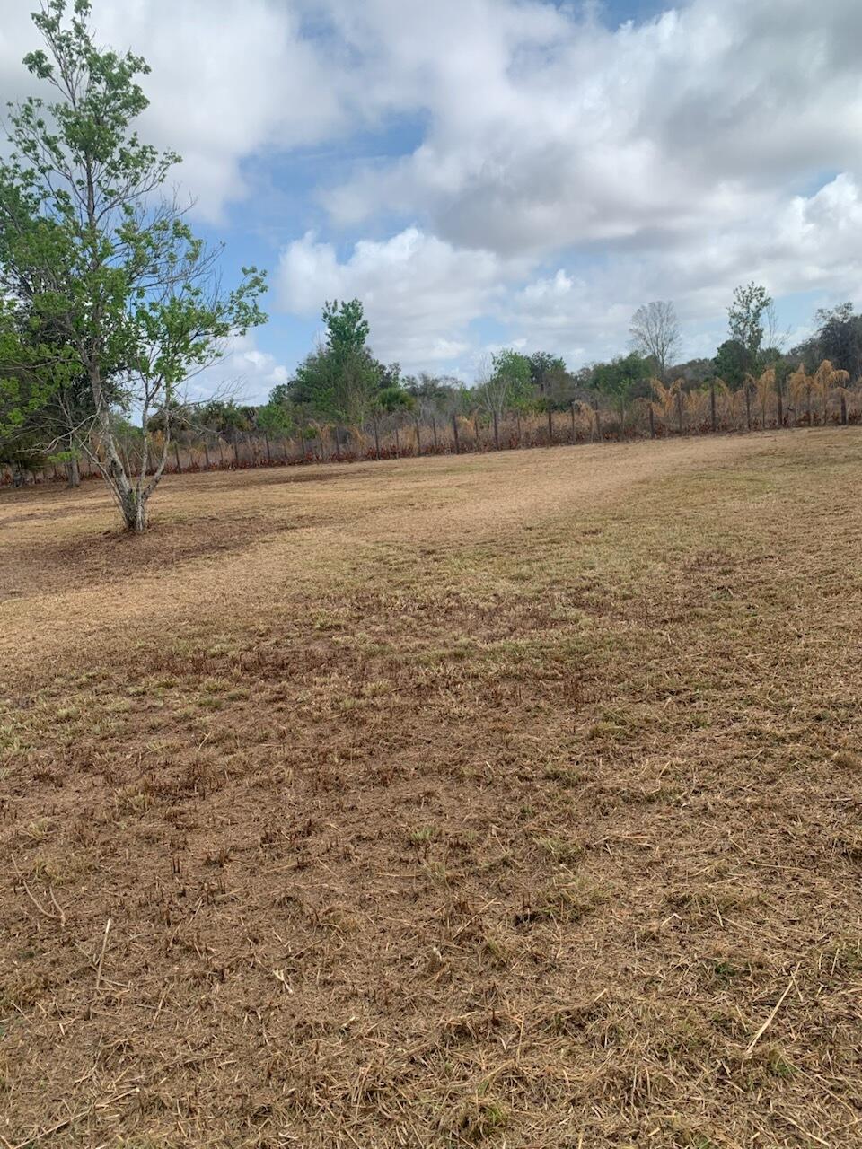 SOUTHERN COLONIZATION COMPANY - Land