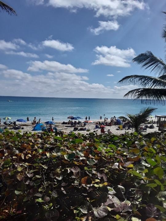 STERLING VILLAGE - Residential