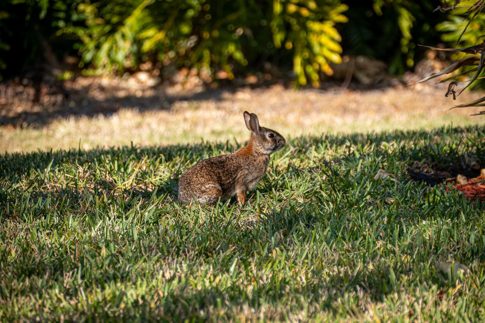 LAKERIDGE - Residential