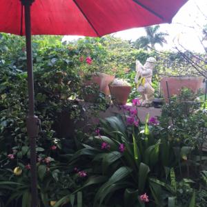 TIBURON II PH II - Residential