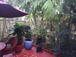 TIBURON II PH II - Residential