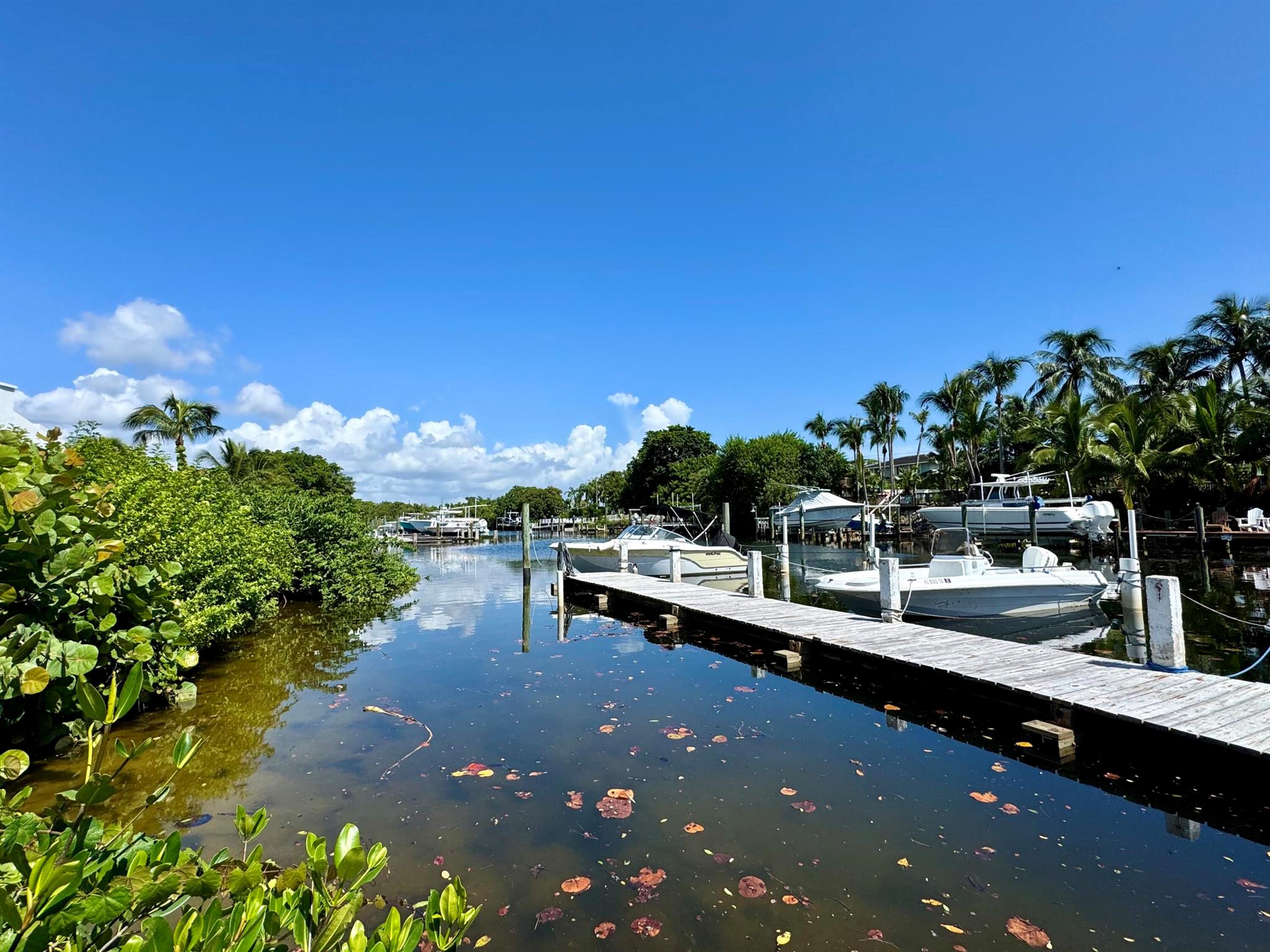 RIVER KEY CONDO - Residential