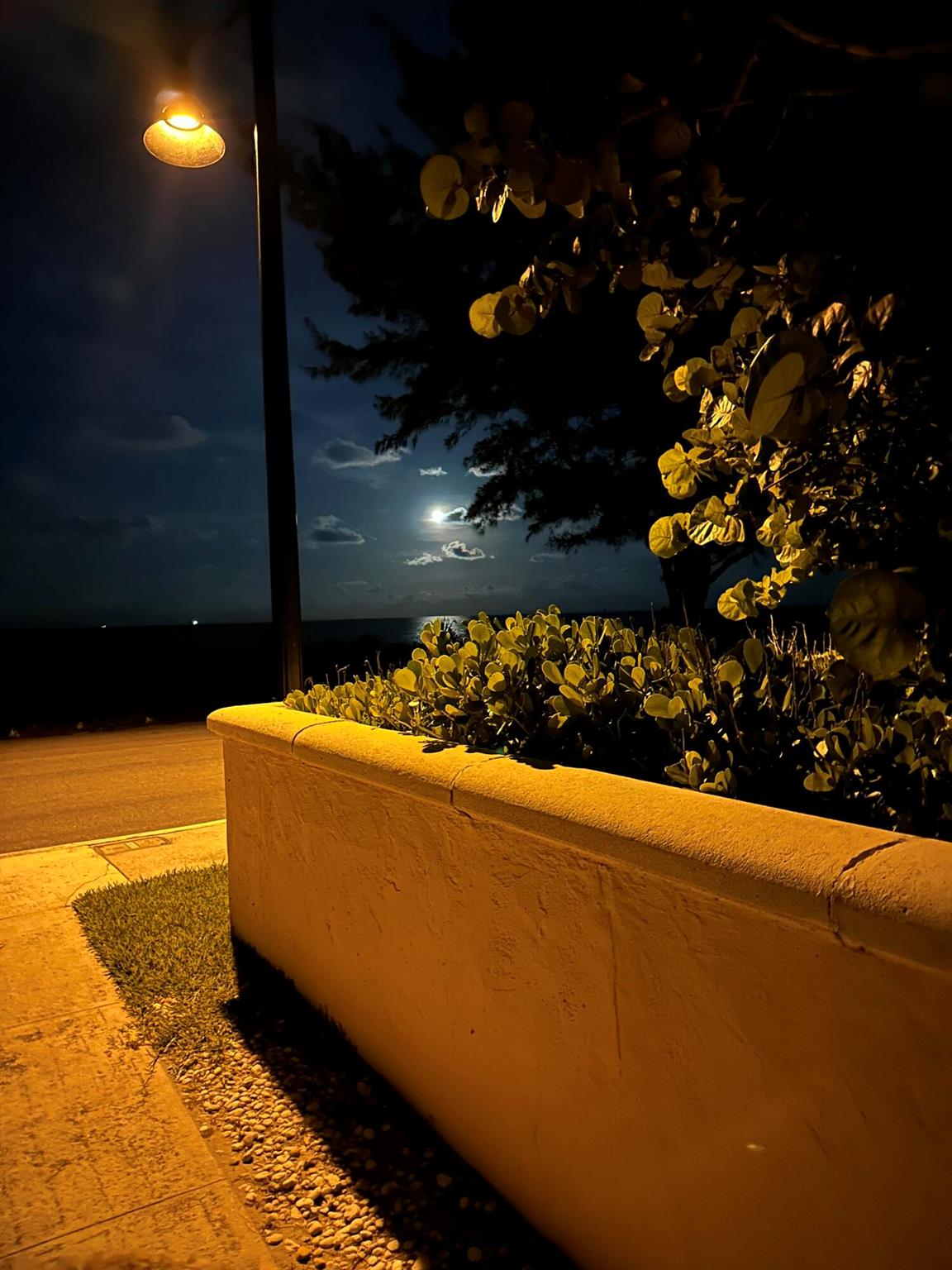 WARDEN HOUSE CONDO - Residential