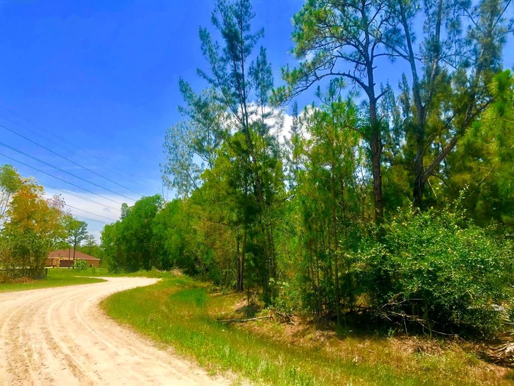 Photo of 14319 74th Street N, Loxahatchee, FL 33470 (MLS # R10777761)