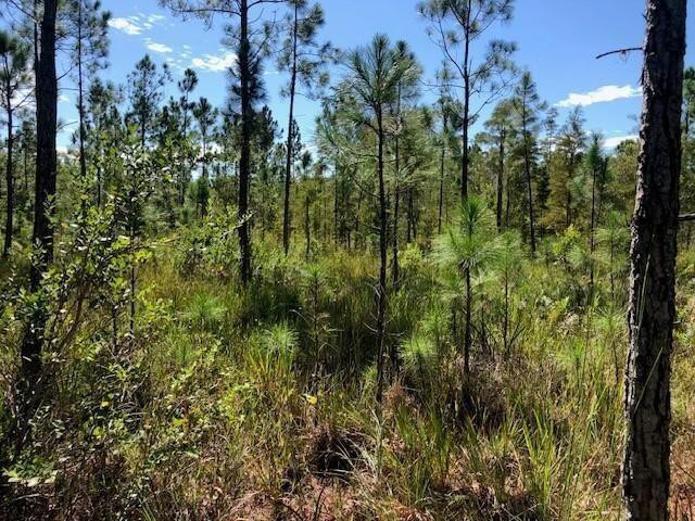 Opp171 Orlando Pines - Land