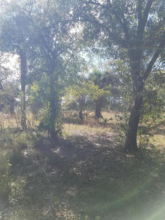 Beautiful, 1.5 Acre, Corner Lot mostly clear/open with some mature Oak Trees, in the Kissimmee Prairie neighborhood!! Well maintained, main dirt roadway frontages for easy access, electric & phone located right on the corner of the lot. Get out of the city & come live the Country Lifestyle! Bring all of the animals & enjoy nature at its best! Just minutes to the Kissimmee Prairie Preserve State Park. Don't miss this opportunity to build your dream homestead or have a weekend getaway!! Cash only. NO owner financing. Buyers are responsible to do their own due diligence. Do not follow Google maps directions, they are incorrect. Take NW 192 Ave. North to NW 288th Street, go West aprox. 1 mile to NW 208th Ave., go North aprox. 3/4 miles to the third dirt road on right, NW 294th Street.