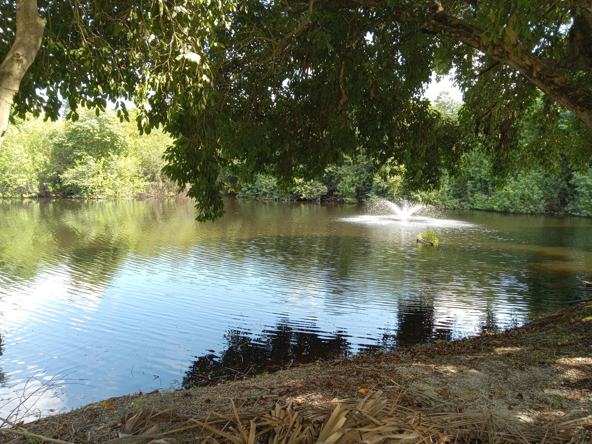 St Lucie Inlet Farms - Residential