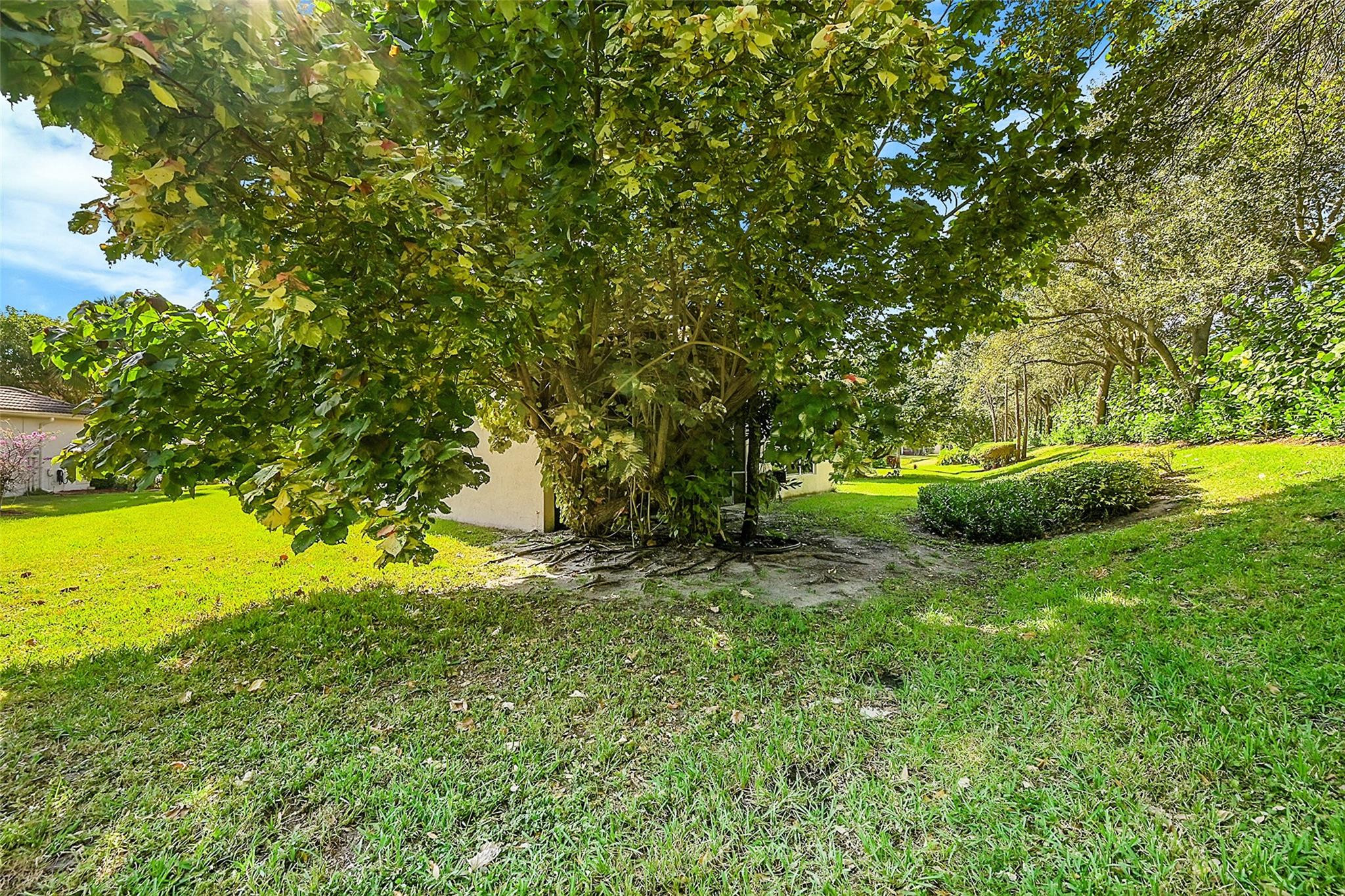 Valencia Shores 04 - Residential