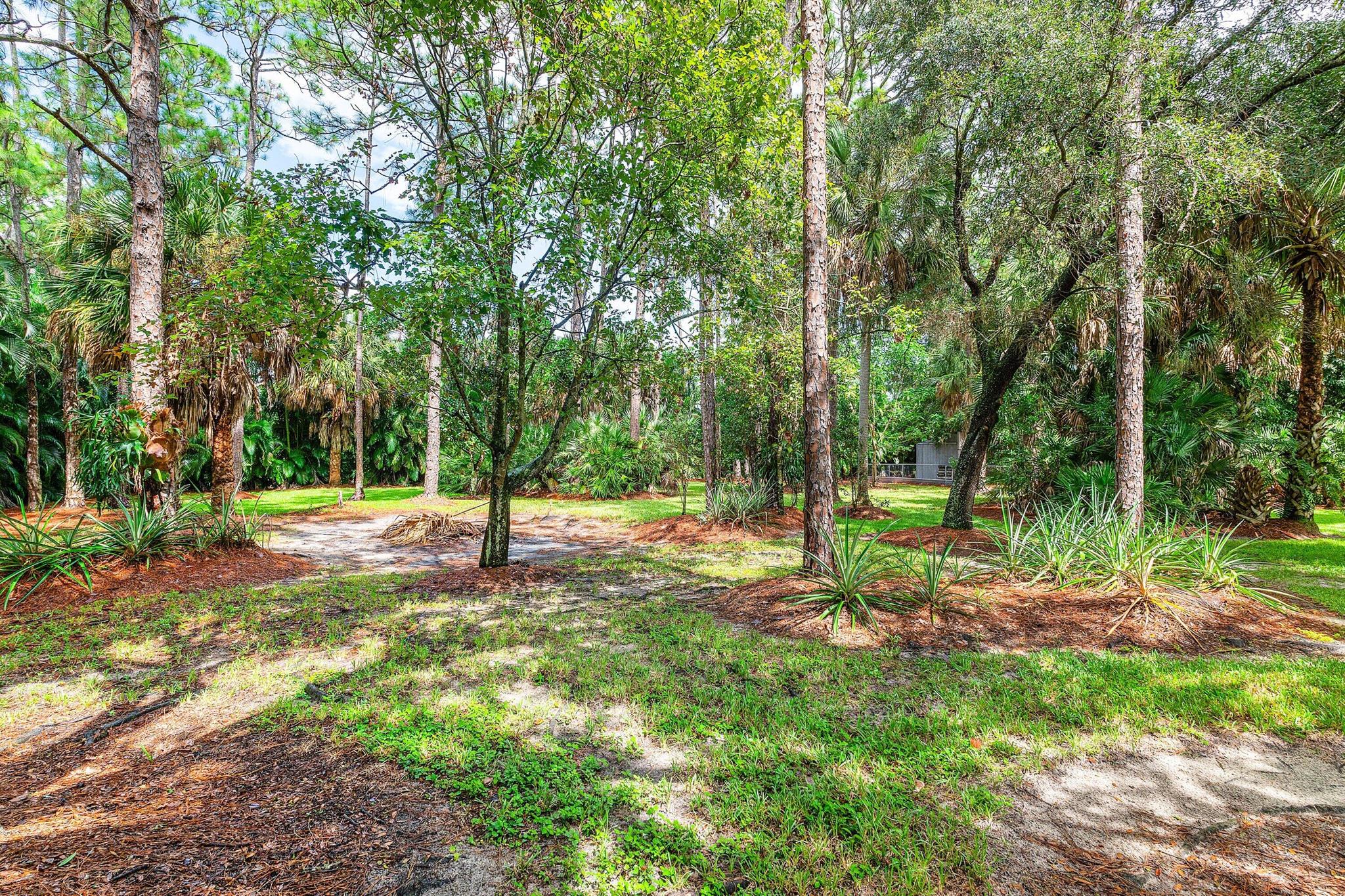 The Acreage - Residential